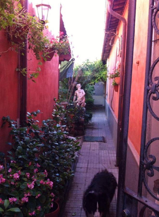 Casa "Oasi" Centro Storico Apartman Tuscania Kültér fotó