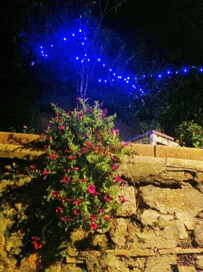 Casa "Oasi" Centro Storico Apartman Tuscania Kültér fotó